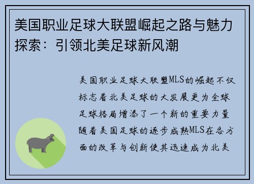 美国职业足球大联盟崛起之路与魅力探索：引领北美足球新风潮